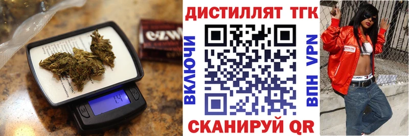 закладки  Лахденпохья  ТГК концентрат 
