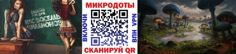 Галлюциногенные грибы Psilocybine cubensis  Лахденпохья 